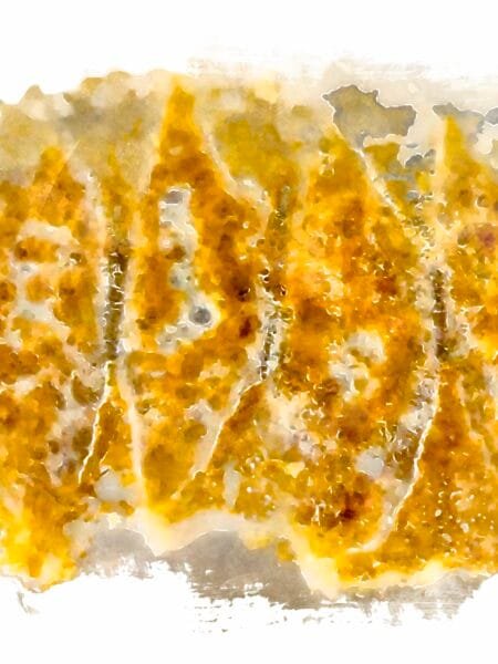 Five pieces of cooked gyoza with a golden crust and lacy wings from the starch in the pan.