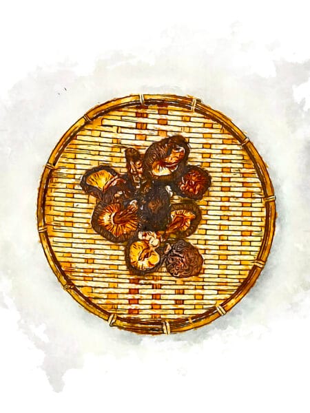 Overhead view of dried shiitake mushrooms arranged on a round bamboo drying basket.