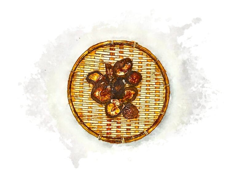 Overhead view of dried shiitake mushrooms arranged on a round bamboo drying basket.